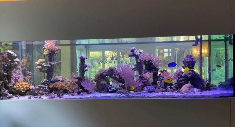 龍魚缸定制價格大概是多少？，彩鰈魚缸定制價格范圍是多少