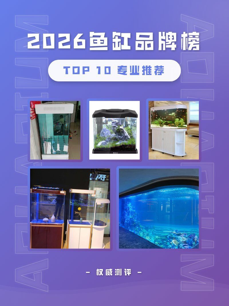 如何選擇適合的龍魚(yú)缸？，西安龍魚(yú)缸選擇龍魚(yú)缸選擇森森(魚(yú)缸