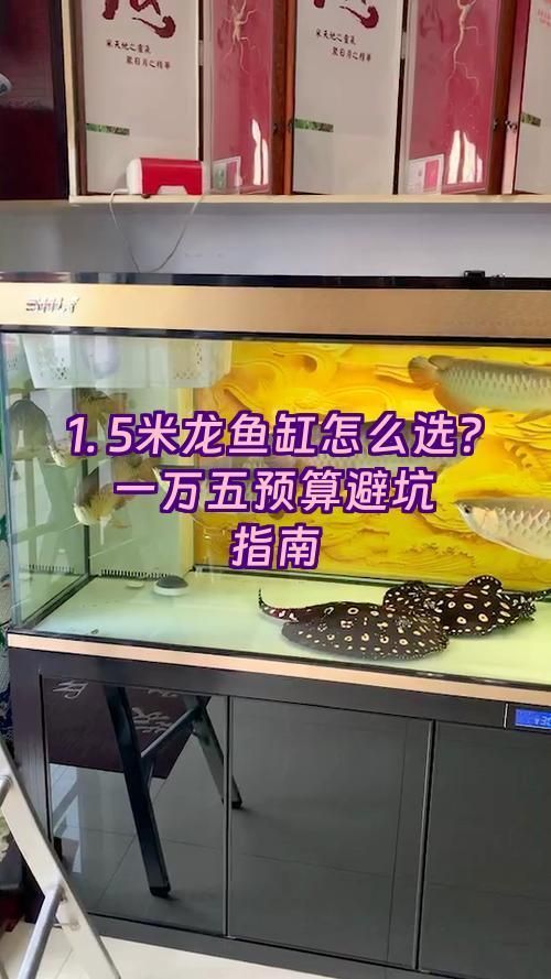 如何選擇適合的龍魚(yú)缸？，西安龍魚(yú)缸選擇龍魚(yú)缸選擇森森(魚(yú)缸