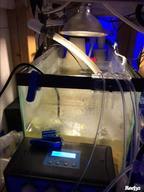 龍魚魚缸排行榜前十名有哪些？，龍魚新中式紫檀魚缸排行榜