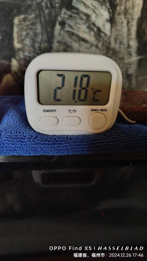 如何判斷水溫是否適合喂食，如何判斷魚缸水溫是否適合喂食