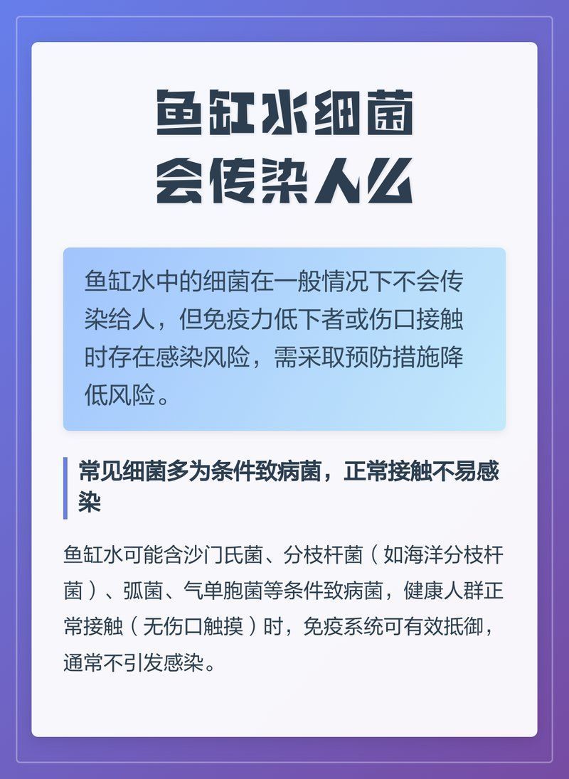 如何預防魚缸細菌傳染給人，魚缸細菌傳染