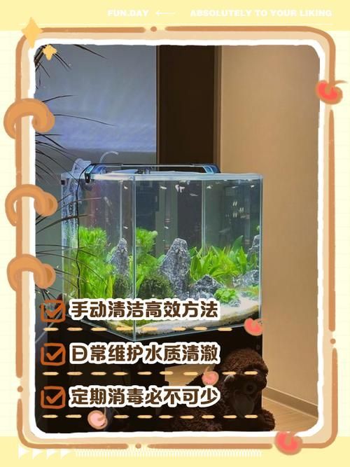 如何預防魚缸細菌傳染給人，魚缸細菌傳染