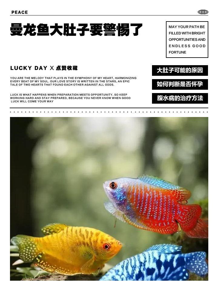 龍魚肚子脹氣鼓包如何治療，魚肚子脹氣鼓包可能是由于多種原因引起的，治療方法僅供參考