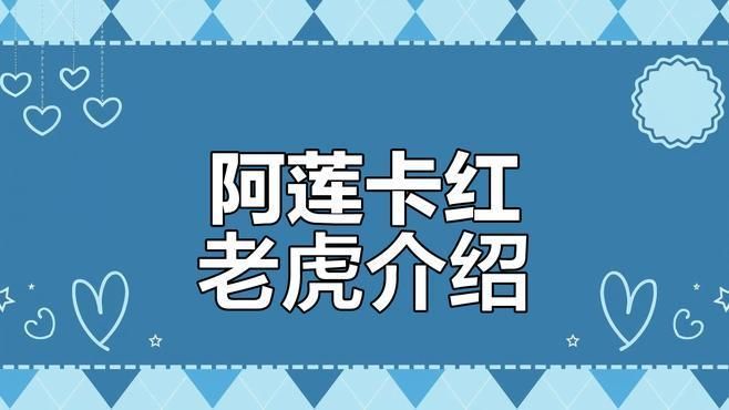 紅老虎魚有哪些品種？ 紅老虎魚有哪些品種？ 龍魚百科 第9張
