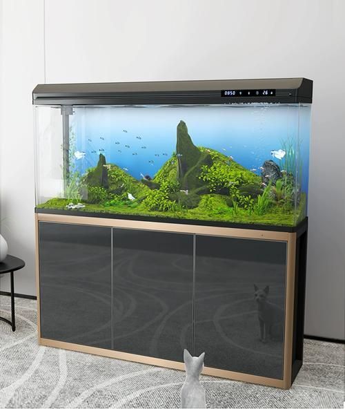 如何驗證祥龍魚缸的排名？，“祥龍魚缸”品牌排名：“祥龍魚缸”排名需要詳細解釋