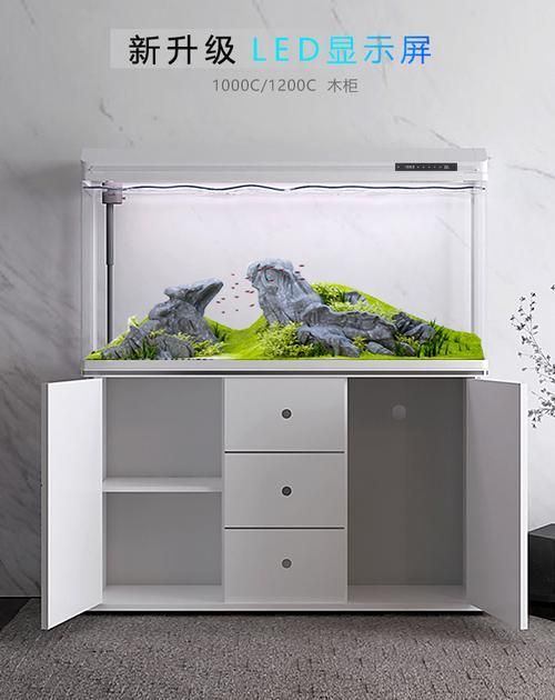 如何驗證祥龍魚缸的排名？，“祥龍魚缸”品牌排名：“祥龍魚缸”排名需要詳細解釋