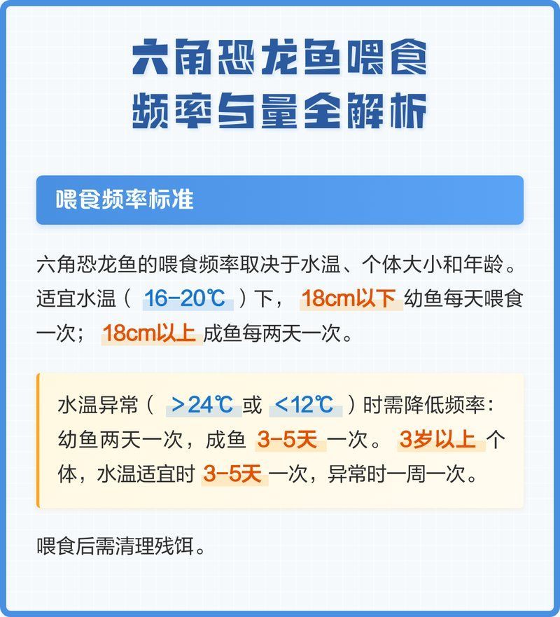 六角恐龍多久喂一次，六角恐龍喂食頻率與量全解析