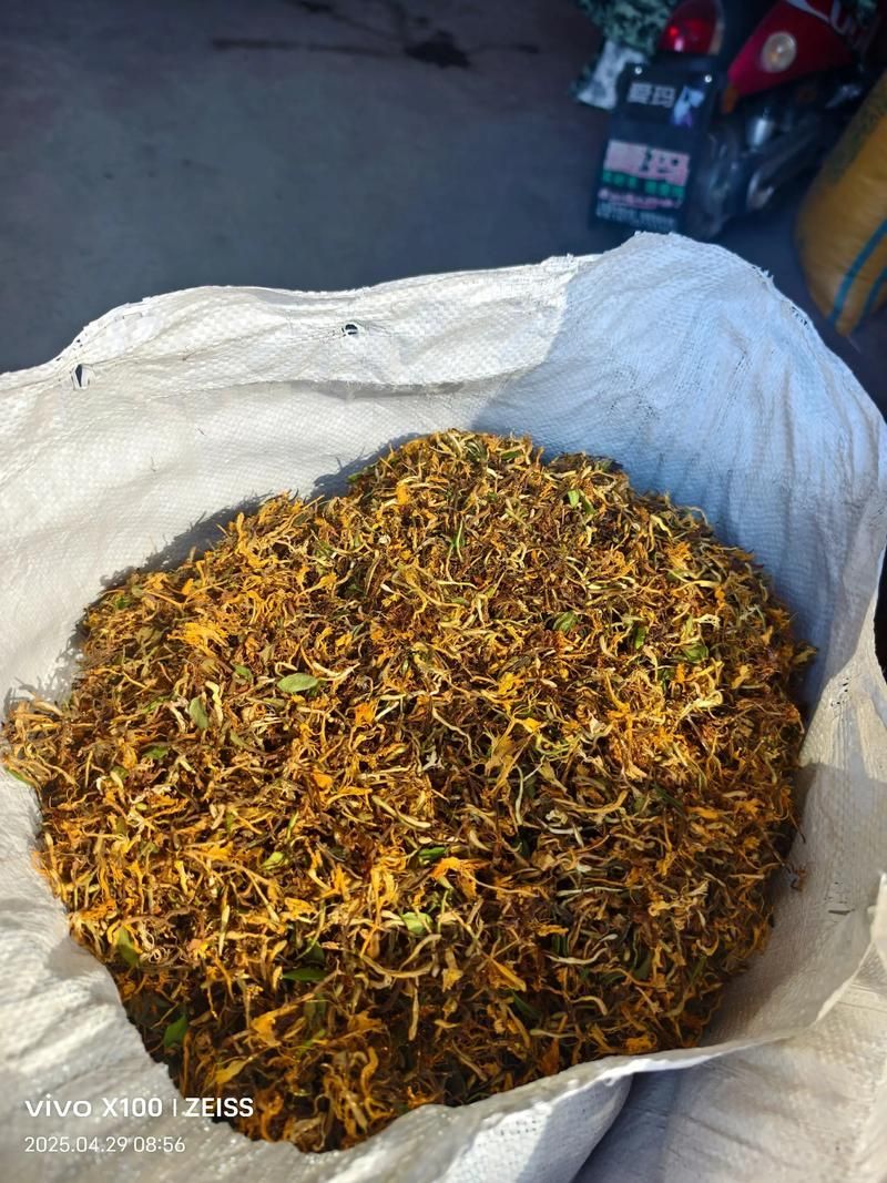 有哪些中草藥可以預(yù)防龍魚蒙眼，中草藥預(yù)防龍魚蒙眼