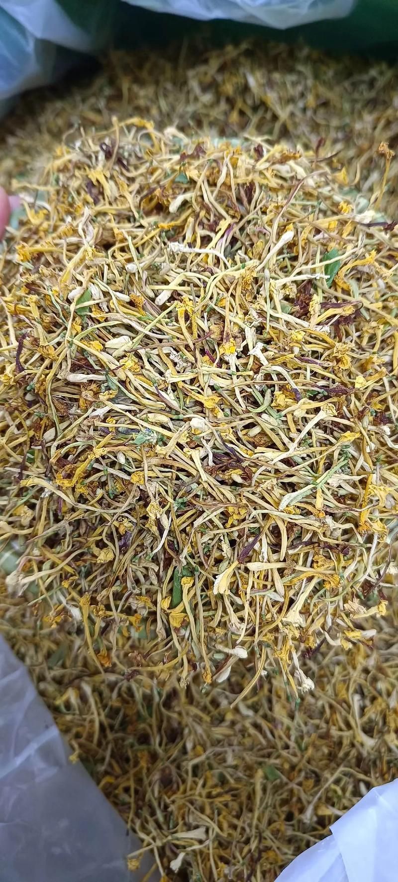 有哪些中草藥可以預(yù)防龍魚蒙眼，中草藥預(yù)防龍魚蒙眼