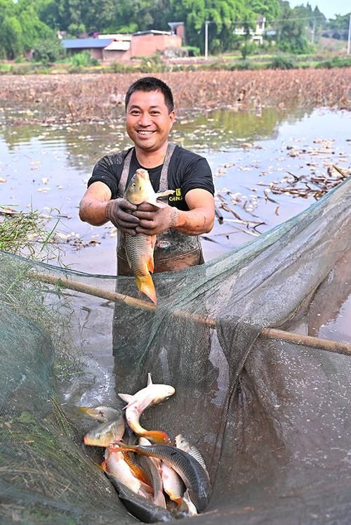 混養(yǎng)時(shí)需要注意哪些事項(xiàng)？，廣州大型魚缸定做 混養(yǎng)時(shí)需要注意哪些事項(xiàng)？，廣州大型魚缸定做 龍魚百科 第4張