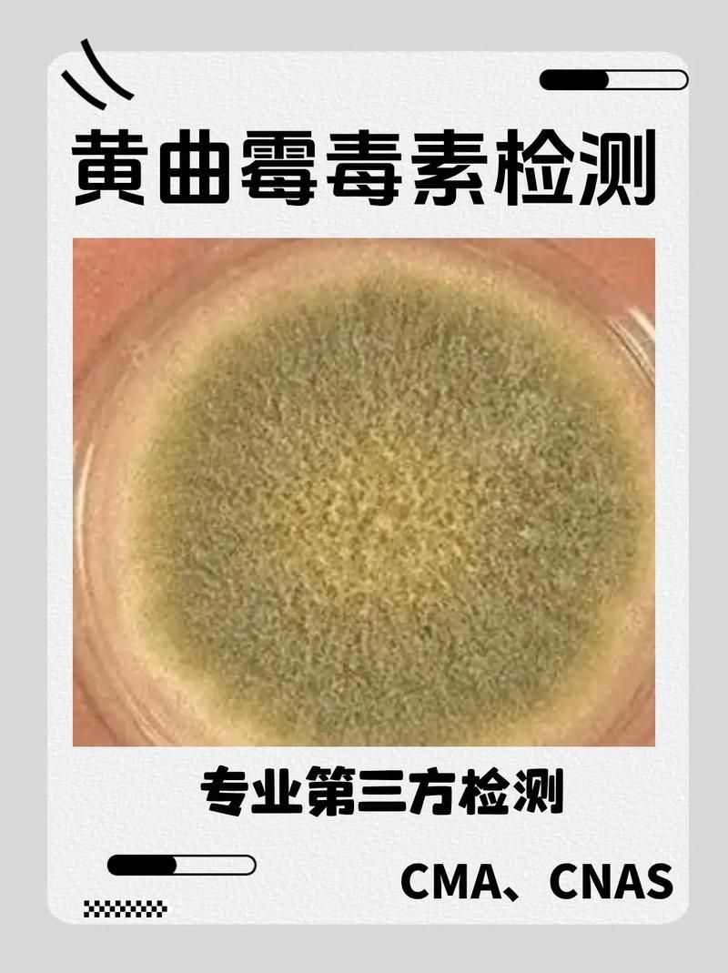 哪些油不適合長期食用，什么油最不健康 哪些油不適合長期食用，什么油最不健康 龍魚百科 第4張