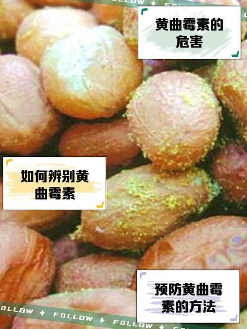 哪些油不適合長期食用，什么油最不健康 哪些油不適合長期食用，什么油最不健康 龍魚百科 第3張