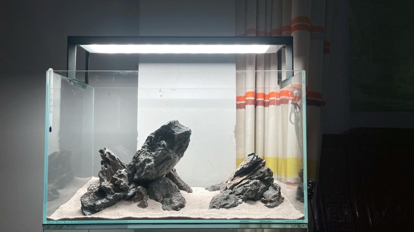 如何判斷龍魚缸的高度適合哪種圖片？，魚缸的高度選擇對(duì)于觀賞效果和魚類健康至關(guān)重要