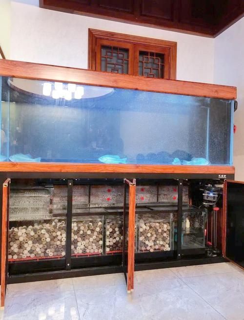給我一些龍魚缸設計圖片,魚缸設計圖片:龍魚缸設計圖片:簡約風格龍魚缸設計 龍魚百科 第6張 給我一些龍魚缸設計圖片,魚缸設計圖片:龍魚缸設計圖片:簡約風格龍魚缸設計 給我一些龍魚缸設計圖片,魚缸設計圖片:龍魚缸設計圖片:簡約風格龍魚缸設計 龍魚百科 第6張