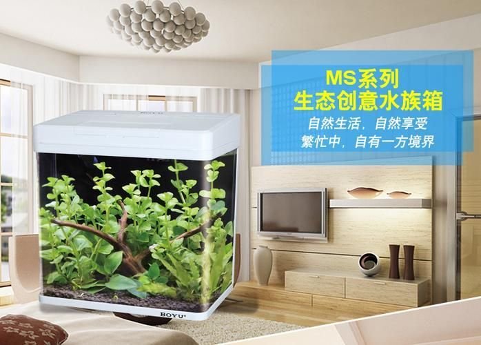 彩鰈、森森、閩江、可麗愛、博宇哪個(gè)品牌最好？，可麗愛、森森、閩江、可麗愛、博宇哪個(gè)品牌最好