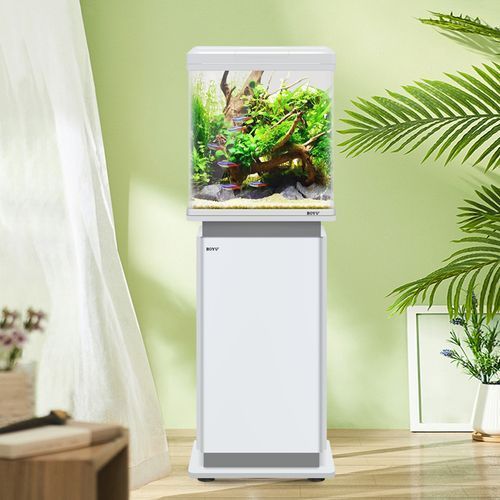 彩鰈、森森、閩江、可麗愛、博宇哪個(gè)品牌最好？，可麗愛、森森、閩江、可麗愛、博宇哪個(gè)品牌最好