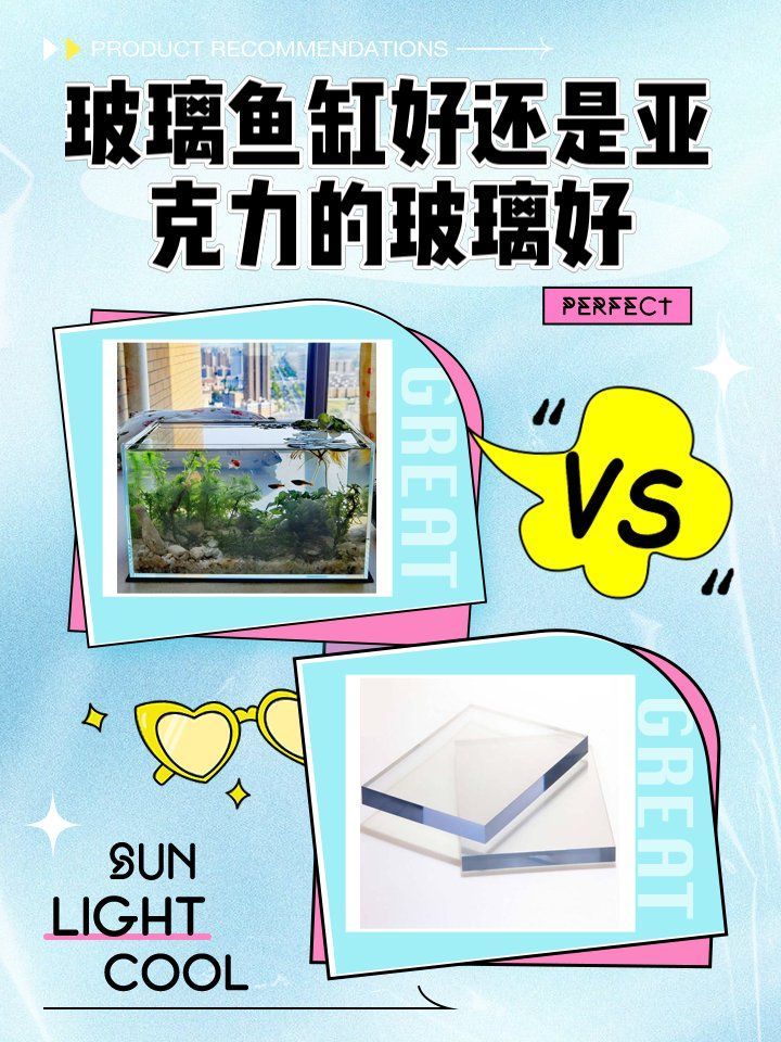 龍魚魚缸的最佳材質(zhì)是什么？，天津龍魚批發(fā)市場口碑如何 龍魚魚缸的最佳材質(zhì)是什么？，天津龍魚批發(fā)市場口碑如何 龍魚百科 第6張
