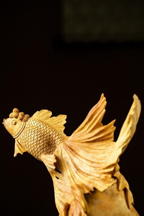 木雕金魚有哪些款式，屬龍的人2026年運(yùn)勢如何 木雕金魚有哪些款式，屬龍的人2026年運(yùn)勢如何 龍魚百科 第2張