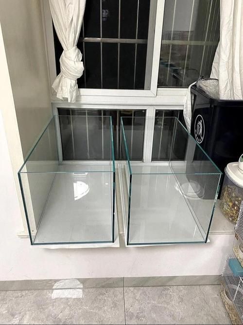 有哪些品牌龍魚缸材質安全？，養龍玩家的主流選擇
