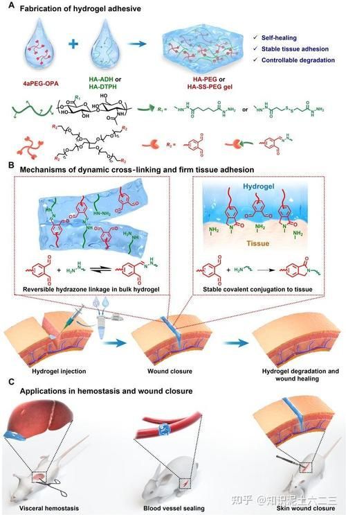 水質(zhì)性眼膜如何調(diào)整pH，水質(zhì)性眼膜如何調(diào)整ph結(jié)構(gòu)圖