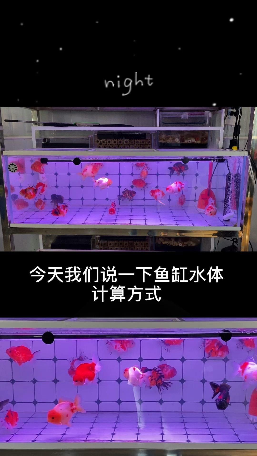 如何計算龍魚缸的體積？，如何準確計算魚缸體積 如何計算龍魚缸的體積？，如何準確計算魚缸體積 龍魚百科 第2張