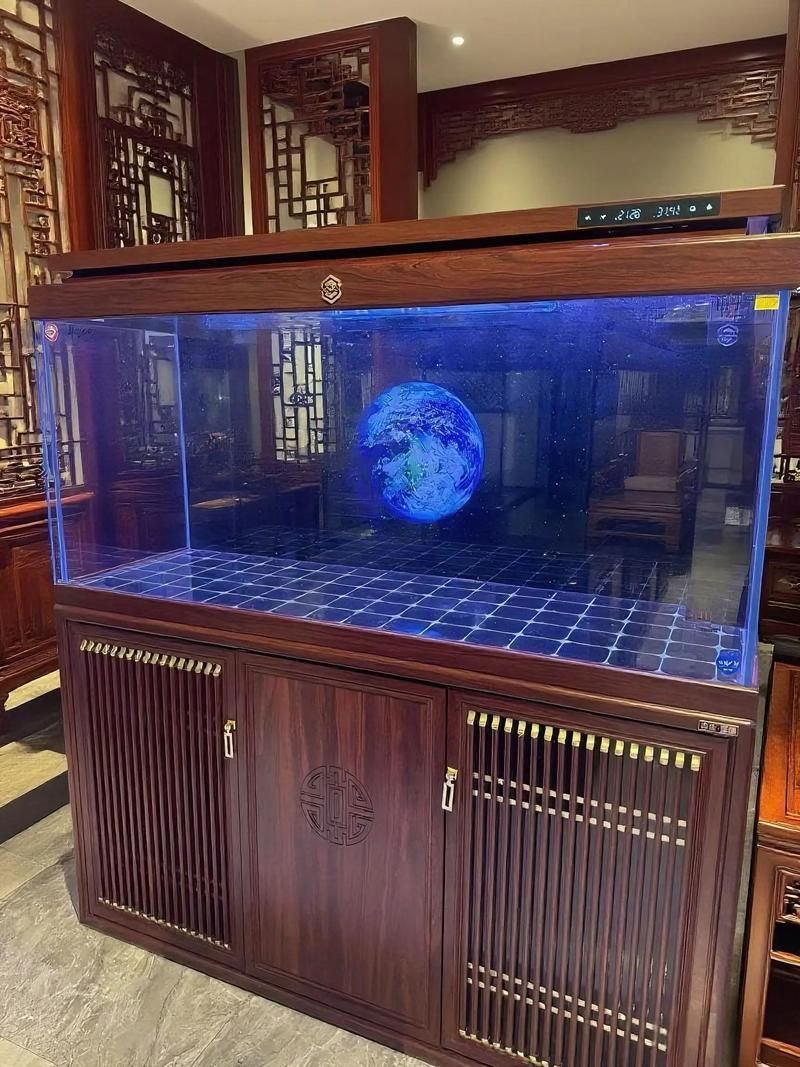 推薦幾個(gè)高端龍魚(yú)缸品牌，高端品牌魚(yú)缸推薦