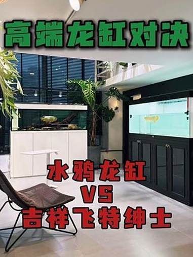 推薦幾個(gè)高端龍魚(yú)缸品牌，高端品牌魚(yú)缸推薦