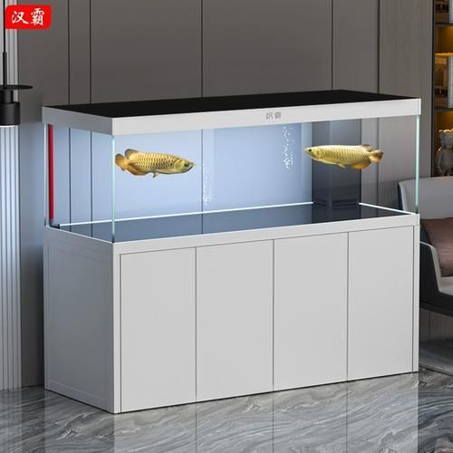 推薦幾個(gè)高端龍魚(yú)缸品牌，高端品牌魚(yú)缸推薦