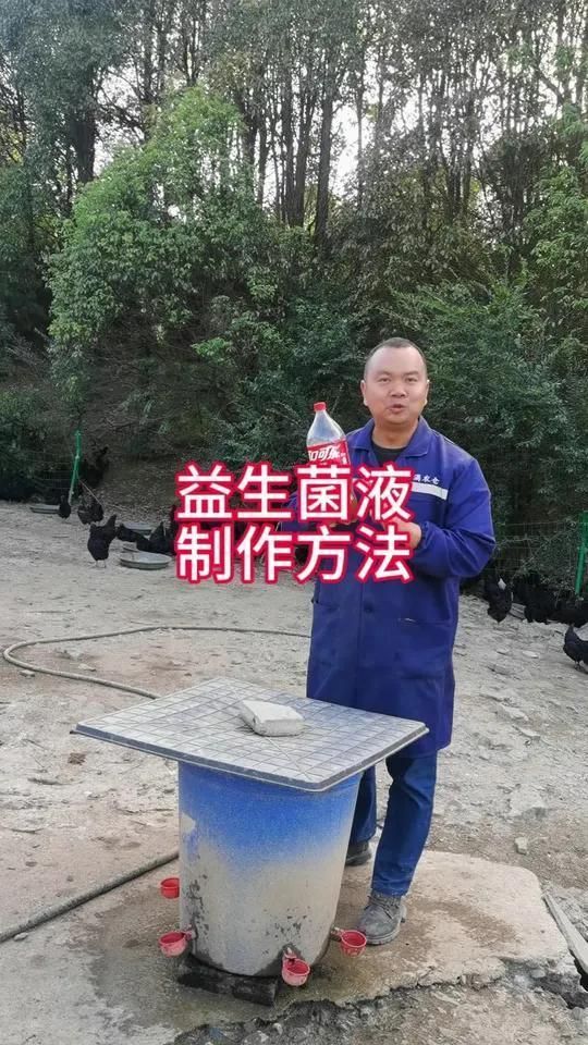 有哪些益生菌可以添加到飼料中，嗜酸乳桿菌飼料中添加益生菌的好處及其在飼料中的使用方法