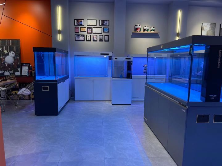 金龍魚店鋪祥龍魚場地址在哪里？，龍魚店鋪祥龍魚場地址
