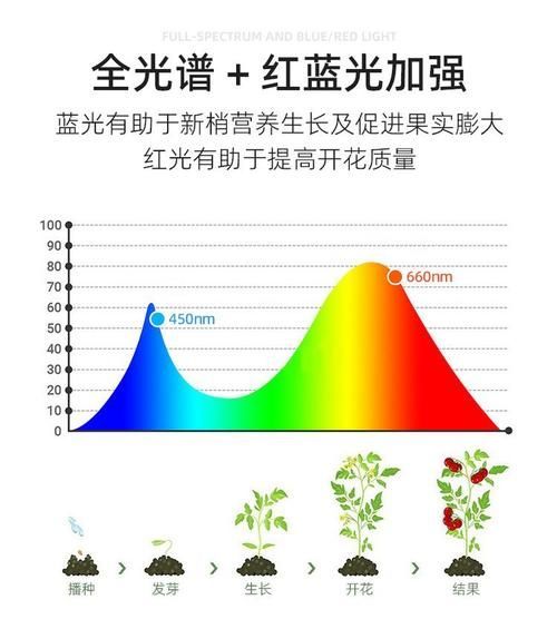 能否提供具體的模擬自然光周期步驟,arxiv論文助手(arxiv論文助手”模擬自然光周期 龍魚百科 第6張 能否提供具體的模擬自然光周期步驟,arxiv論文助手(arxiv論文助手”模擬自然光周期 能否提供具體的模擬自然光周期步驟,arxiv論文助手(arxiv論文助手”模擬自然光周期 龍魚百科 第6張