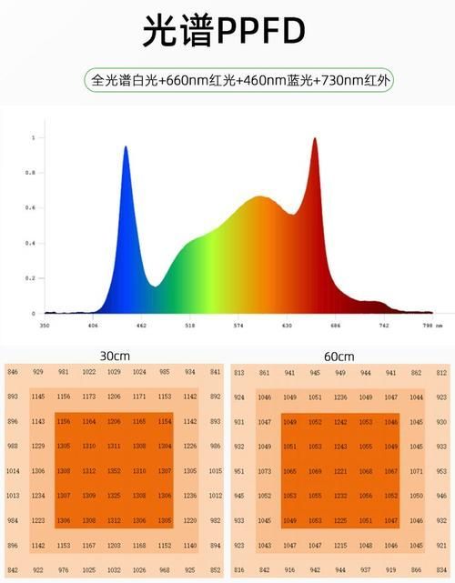 能否提供具體的模擬自然光周期步驟,arxiv論文助手(arxiv論文助手”模擬自然光周期 龍魚百科 第1張 能否提供具體的模擬自然光周期步驟,arxiv論文助手(arxiv論文助手”模擬自然光周期 能否提供具體的模擬自然光周期步驟,arxiv論文助手(arxiv論文助手”模擬自然光周期 龍魚百科 第1張