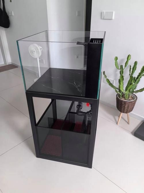 老漁匠魚缸的價格范圍，3000元以上老漁匠魚缸哪個型號最值得入門 老漁匠魚缸的價格范圍，3000元以上老漁匠魚缸哪個型號最值得入門 龍魚百科 第5張