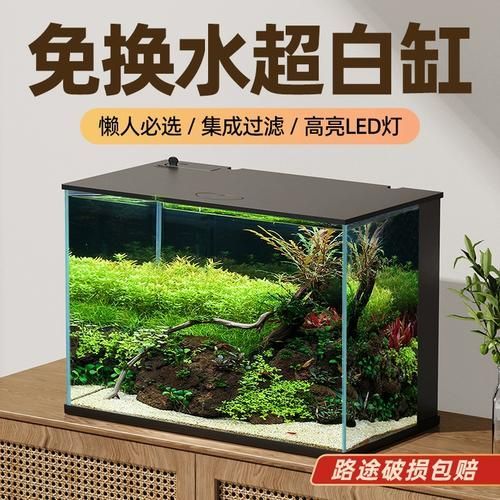 老漁匠魚缸的價格范圍，3000元以上老漁匠魚缸哪個型號最值得入門 老漁匠魚缸的價格范圍，3000元以上老漁匠魚缸哪個型號最值得入門 龍魚百科 第3張