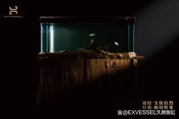如何辨別九鼎魚缸的真偽？，“九鼎魚缸”真偽鑒別指南，九鼎魚缸的真偽鑒別方法