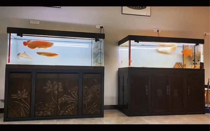 如何辨別九鼎魚缸的真偽？，“九鼎魚缸”真偽鑒別指南，九鼎魚缸的真偽鑒別方法