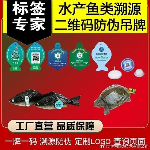 如何判斷祥龍魚場觀賞魚的品質？，如何判斷祥龍魚場觀賞魚的品質品質
