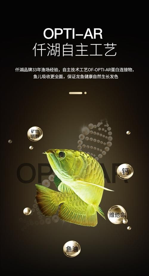 推薦幾個知名的龍魚品牌