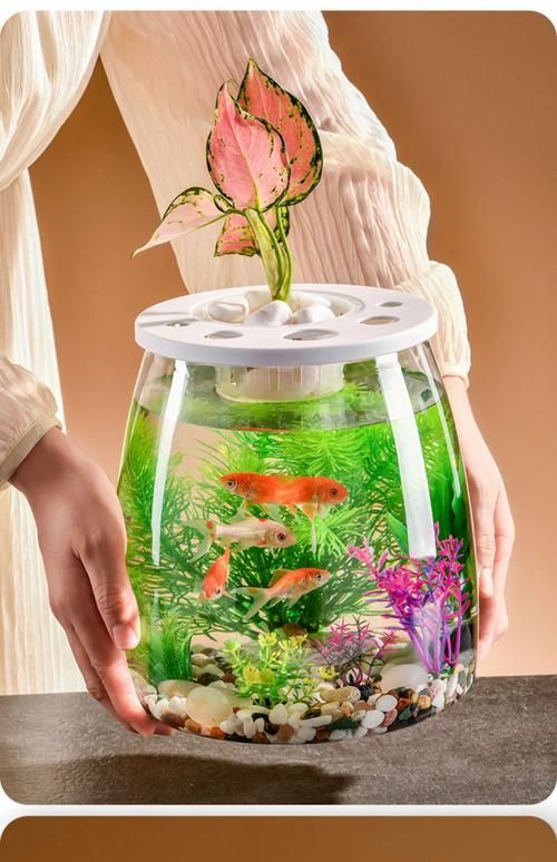 彩蝶和博特哪個性價比更高？，“彩蝶”與“博宇”魚缸品牌對比分析和配圖的性價比分析 彩蝶和博特哪個性價比更高？，“彩蝶”與“博宇”魚缸品牌對比分析和配圖的性價比分析 龍魚百科 第4張