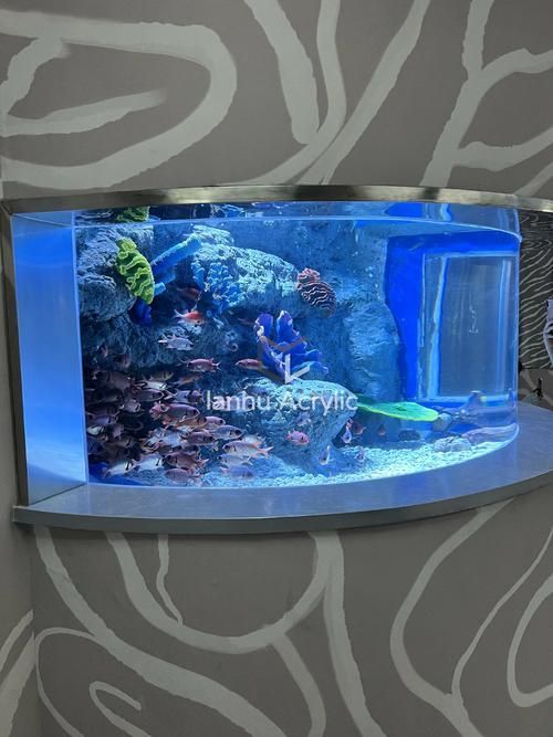 彩蝶和博特哪個性價比更高？，“彩蝶”與“博宇”魚缸品牌對比分析和配圖的性價比分析 彩蝶和博特哪個性價比更高？，“彩蝶”與“博宇”魚缸品牌對比分析和配圖的性價比分析 龍魚百科 第2張