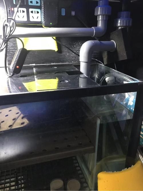 可麗愛魚缸有哪些型號值得購買？，可麗愛魚缸哪個牌子好