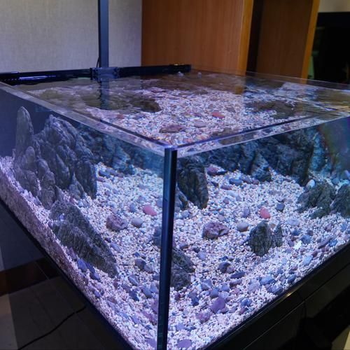 可麗愛魚缸有哪些型號值得購買？，可麗愛魚缸哪個牌子好
