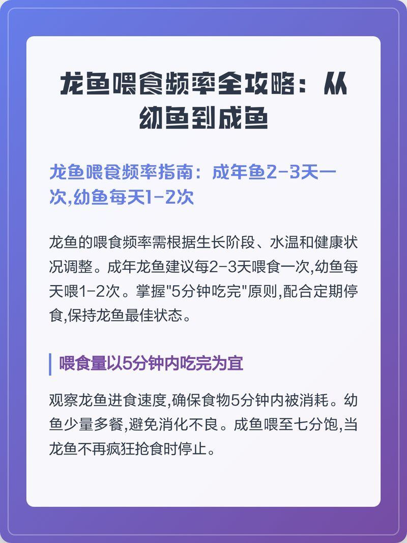 龍魚喂食頻率是多少，魚喂食頻率是關鍵因素之一，龍魚喂食頻率全解析 龍魚喂食頻率是多少，魚喂食頻率是關鍵因素之一，龍魚喂食頻率全解析 龍魚百科 第2張