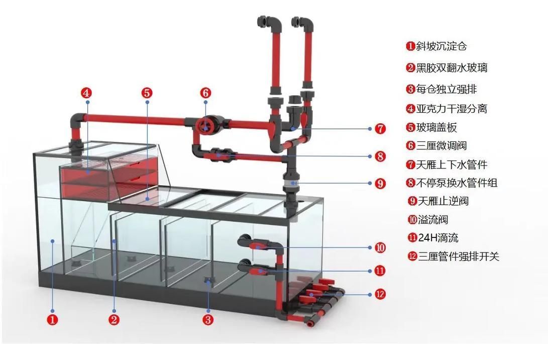 森森HRG系列和EAF系列有何區別？，hrg與eaf系列的區別 森森HRG系列和EAF系列有何區別？，hrg與eaf系列的區別 龍魚百科 第3張
