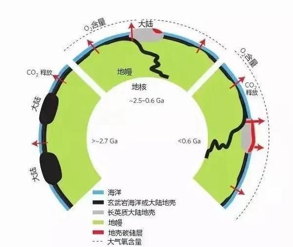 有哪些天然方法讓魚缺氧浮起，surfacerespiration(asr)魚類因缺氧浮起的機制