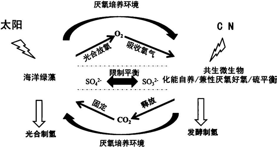 有哪些天然方法讓魚缺氧浮起，surfacerespiration(asr)魚類因缺氧浮起的機制