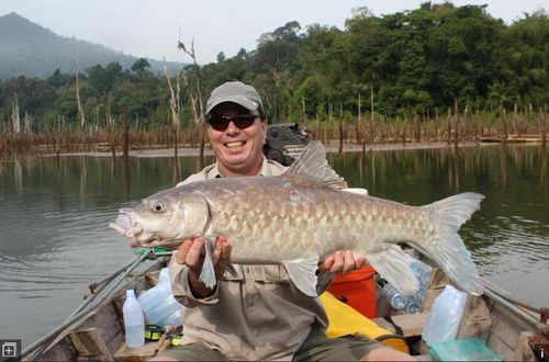 如何挑選新鮮的忘不了魚？，如何挑選新鮮忘不了魚