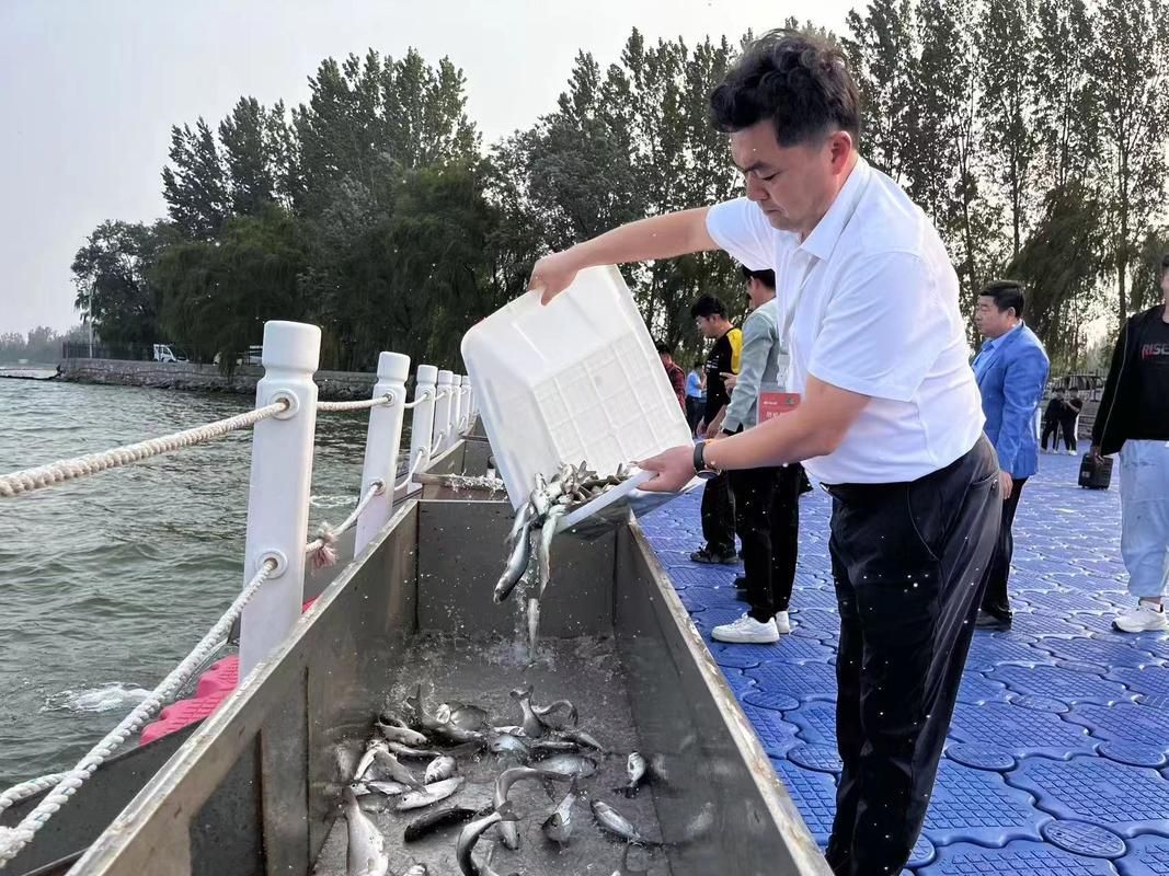 有哪些魚種恢復較快，大西洋藍鰭金槍魚、黃鰭金槍魚、大西洋藍鰭金槍魚、黃鰭金槍魚