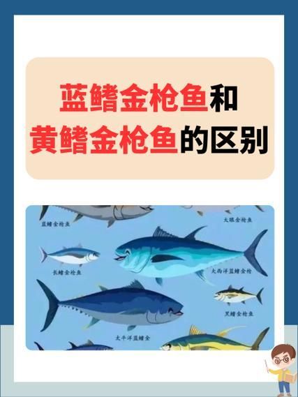 有哪些魚種恢復較快，大西洋藍鰭金槍魚、黃鰭金槍魚、大西洋藍鰭金槍魚、黃鰭金槍魚